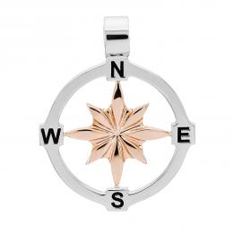 ЗОЛОТОЙ ПОДВЕС РОЗА ВЕТРОВ ZAN05