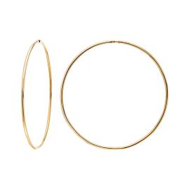 Золотые сережки E20